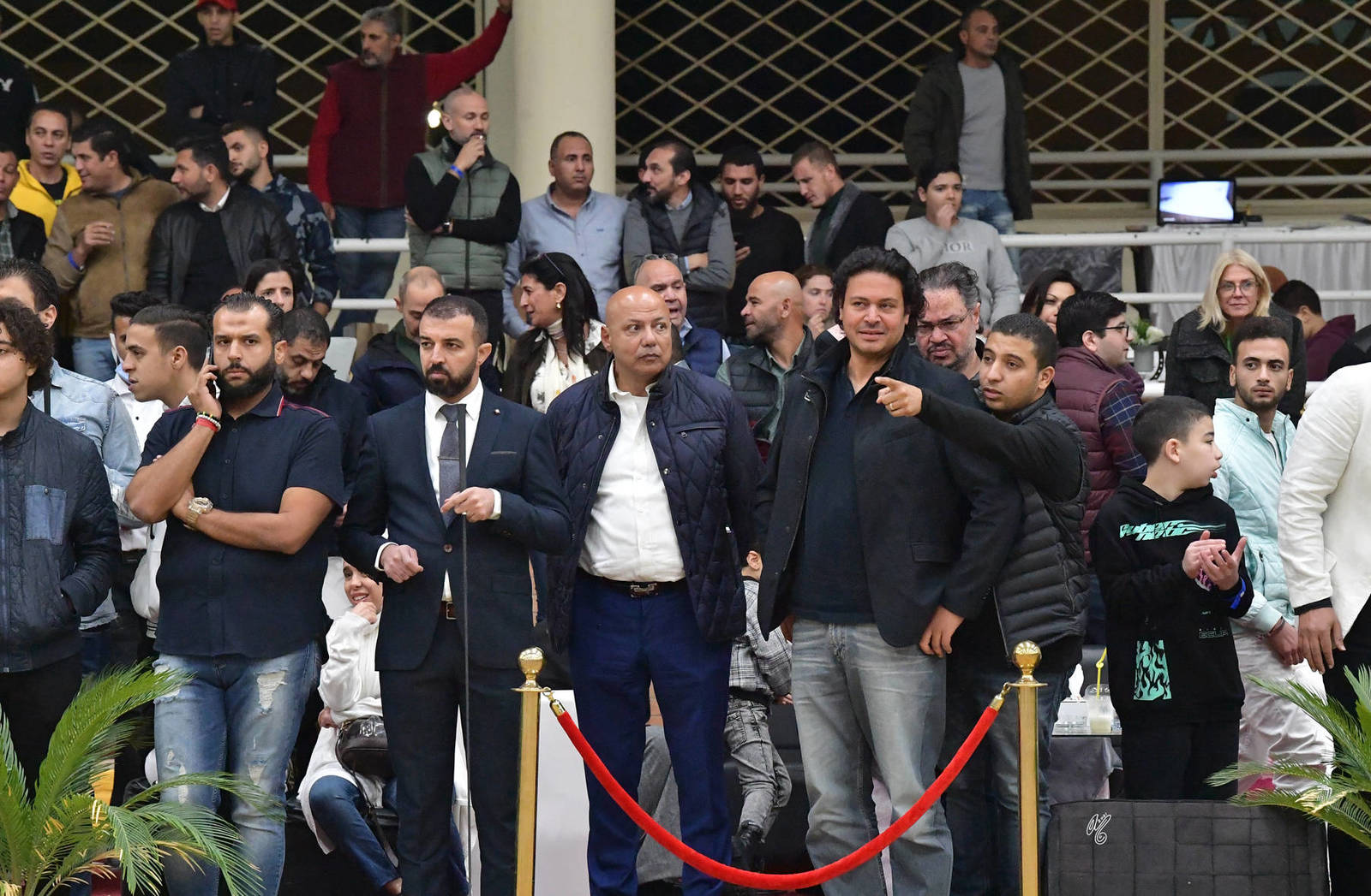 LISA ABRAHAM: The 2021 AHO Breeders' Championship in Egypt ~ PHOTO COVERAGE