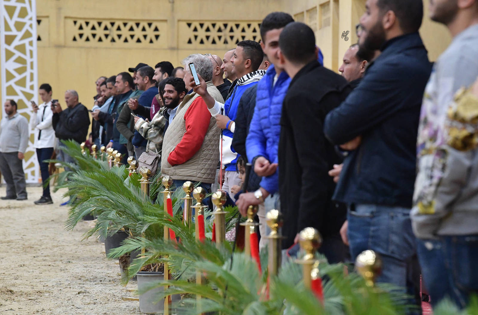 LISA ABRAHAM: The 2021 AHO Breeders' Championship in Egypt ~ PHOTO COVERAGE