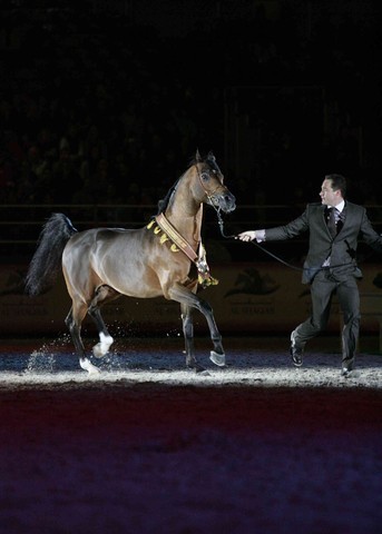 ¸Dakharo 2   57.jpg