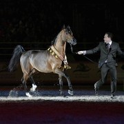 ¸Dakharo 2   57.jpg