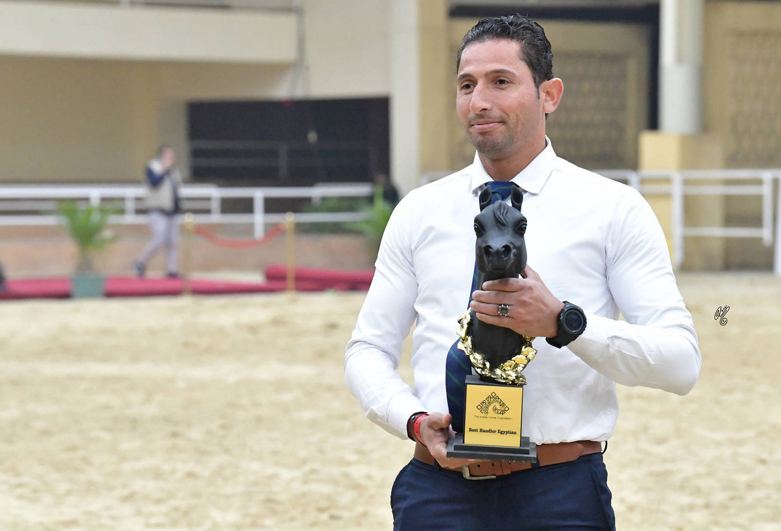 LISA ABRAHAM: The 2021 AHO Breeders' Championship in Egypt ~ PHOTO COVERAGE