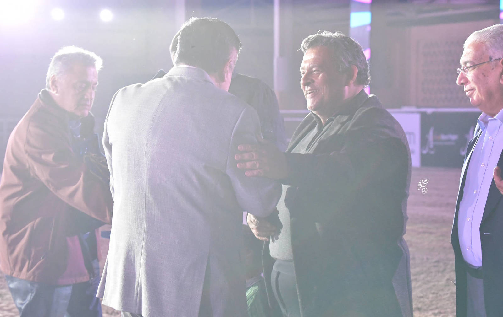 LISA ABRAHAM: The 2021 AHO Breeders' Championship in Egypt ~ PHOTO COVERAGE