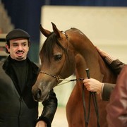 ¸Layan Al Khalediah  1  06.jpg