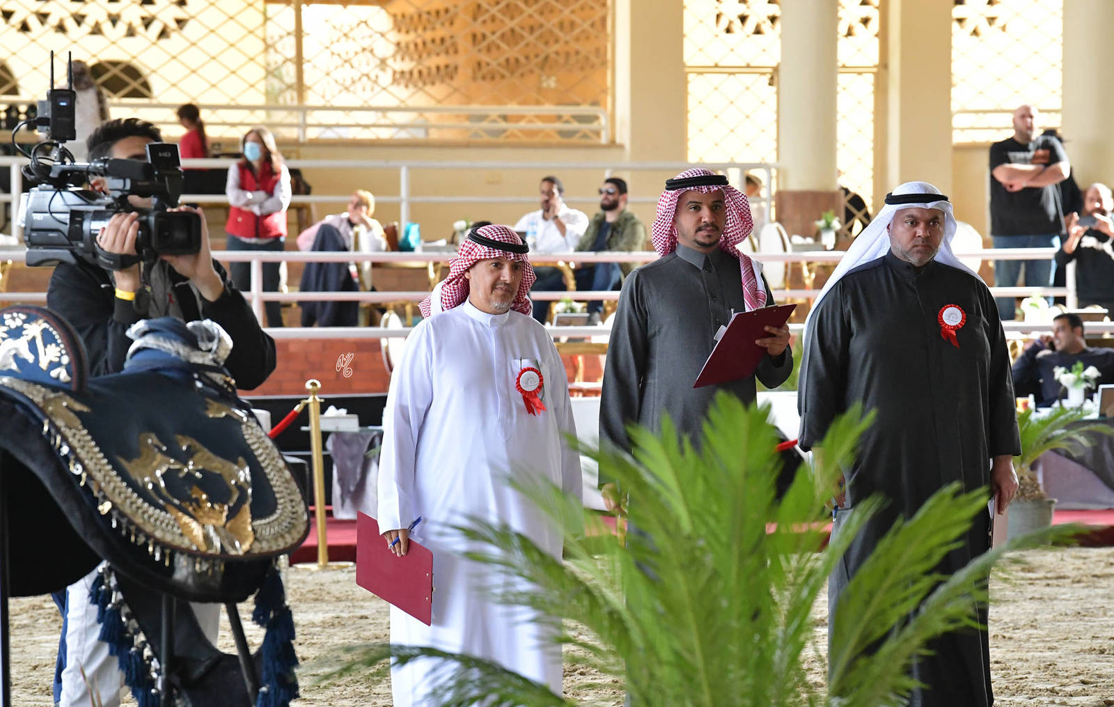 LISA ABRAHAM: The 2021 AHO Breeders' Championship in Egypt ~ PHOTO COVERAGE