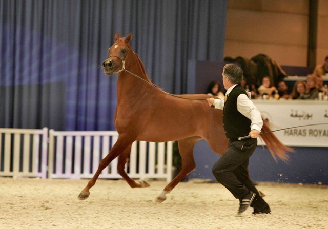 ¸Venetzia 1  45.jpg