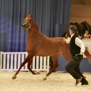 ¸Venetzia 1  45.jpg