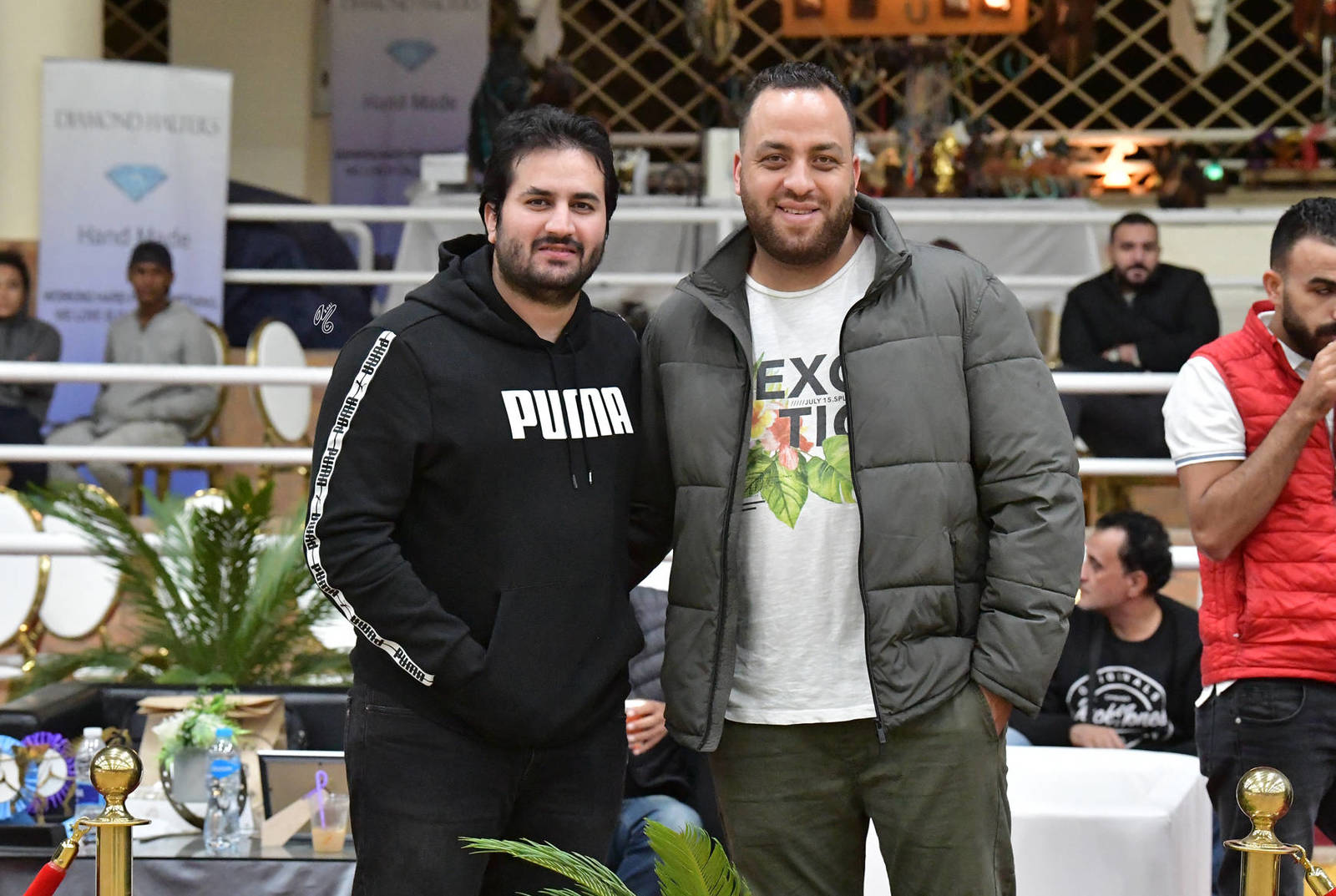 LISA ABRAHAM: The 2021 AHO Breeders' Championship in Egypt ~ PHOTO COVERAGE