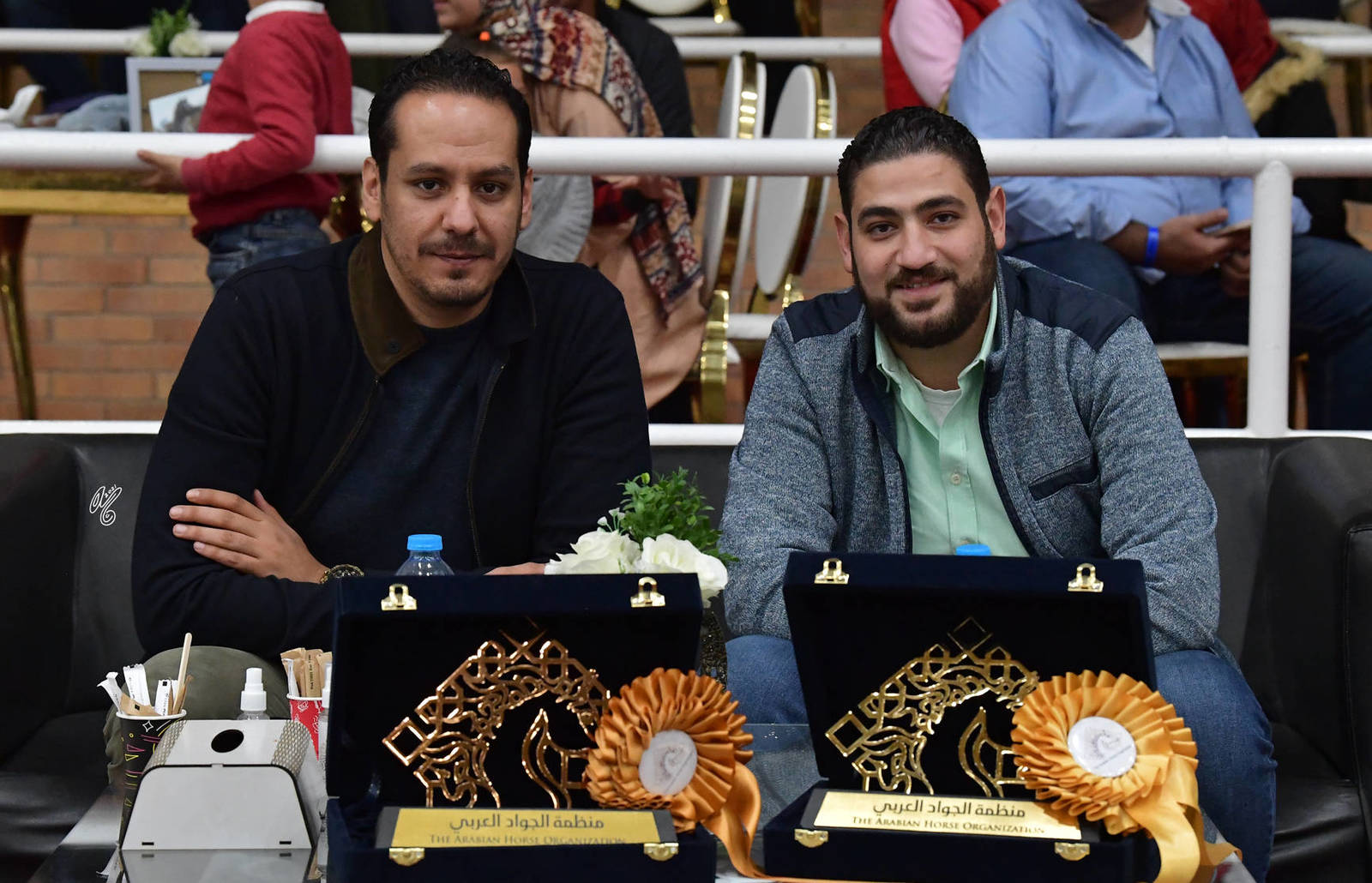 LISA ABRAHAM: The 2021 AHO Breeders' Championship in Egypt ~ PHOTO COVERAGE