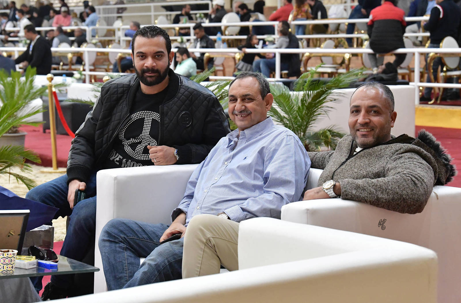 LISA ABRAHAM: The 2021 AHO Breeders' Championship in Egypt ~ PHOTO COVERAGE