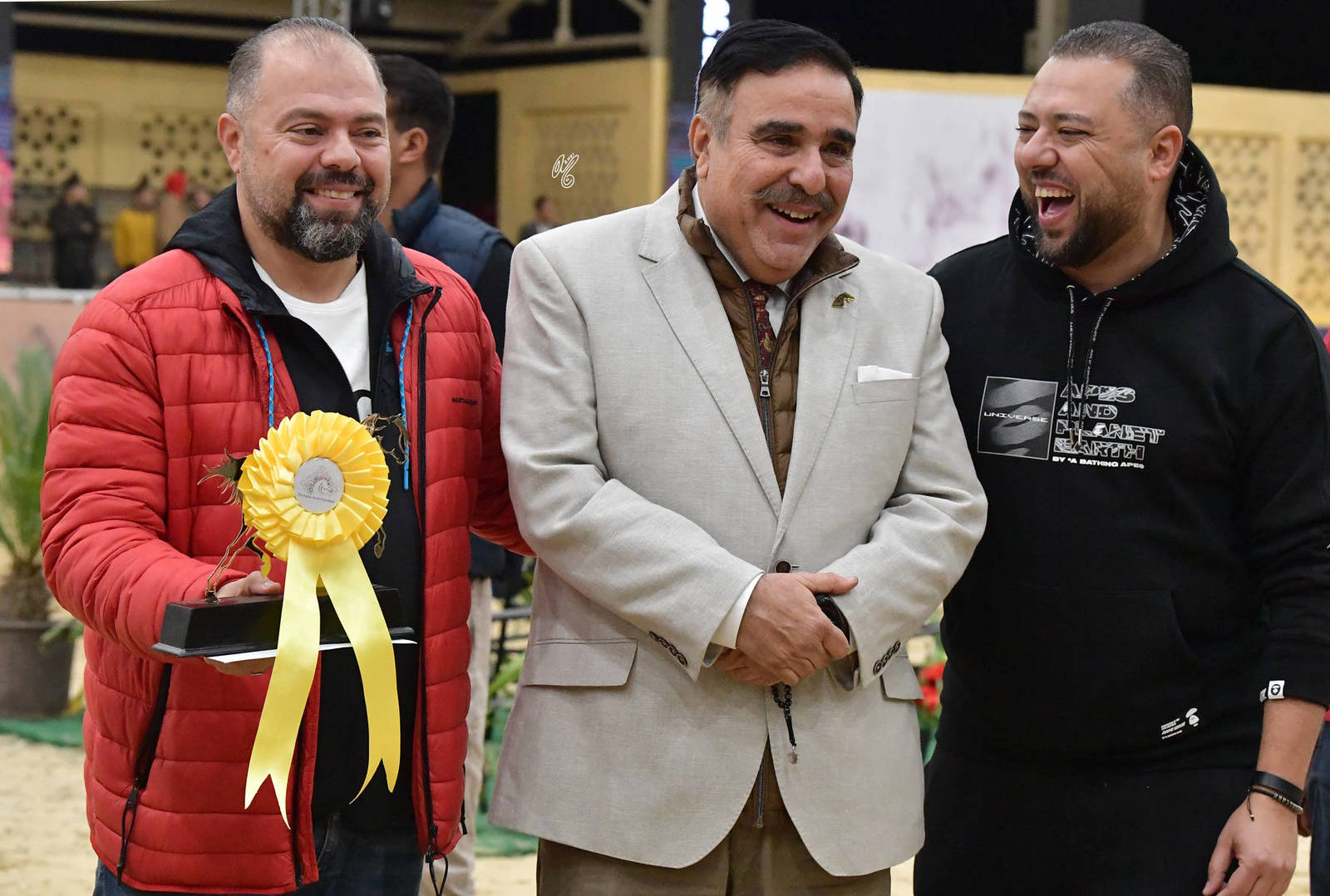 Stallion 7+ Years: Sohaib Al Farida 