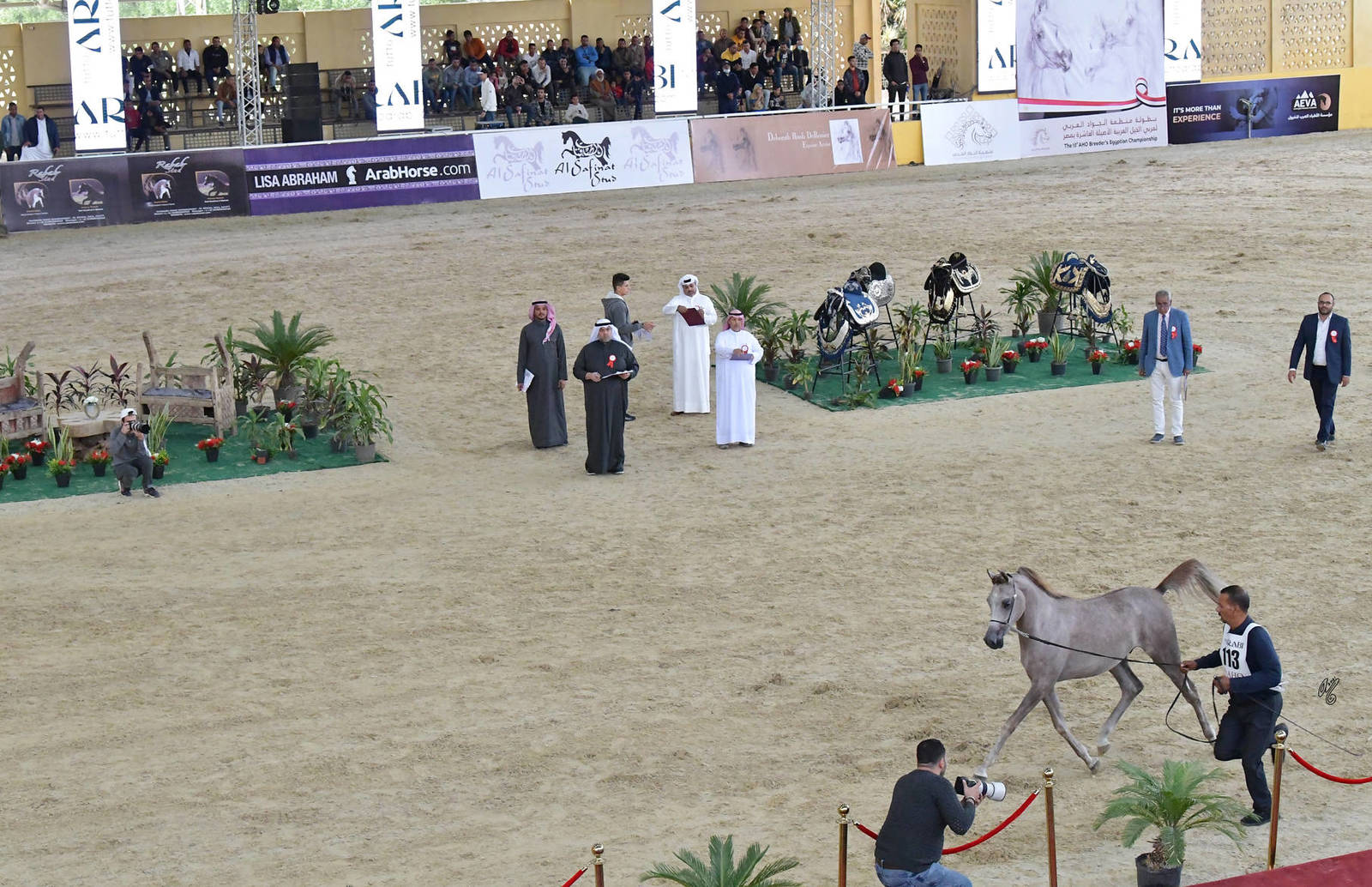 Colt Foals: Al Mortagab Omar 