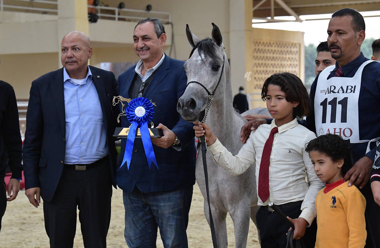 Colt Foals: Sukkar Omar 