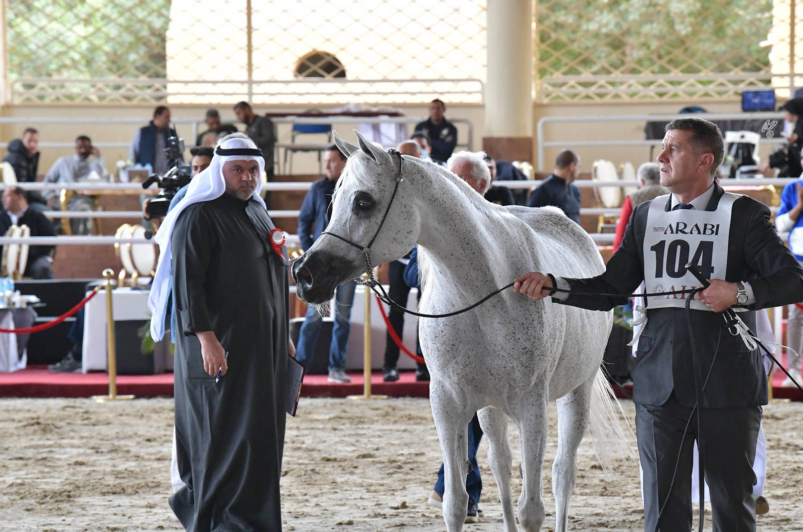 Mares 7+ Years Old: Dalia Rabab