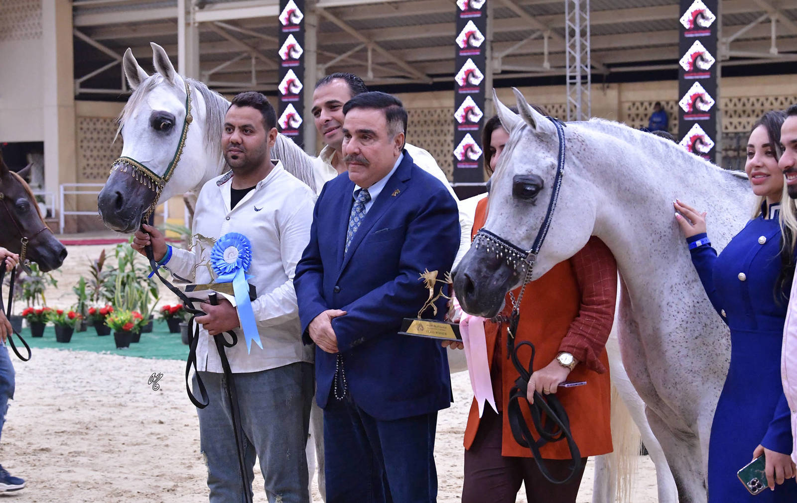 Mares 4-6 Years Old: Nadra AR and Konouz AR 