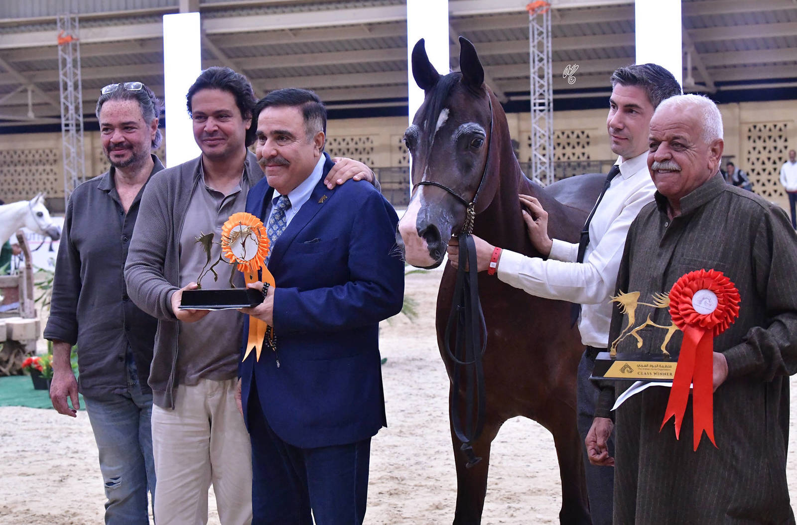 Mares 4-6 Years Old: Amani Al Mamlaka