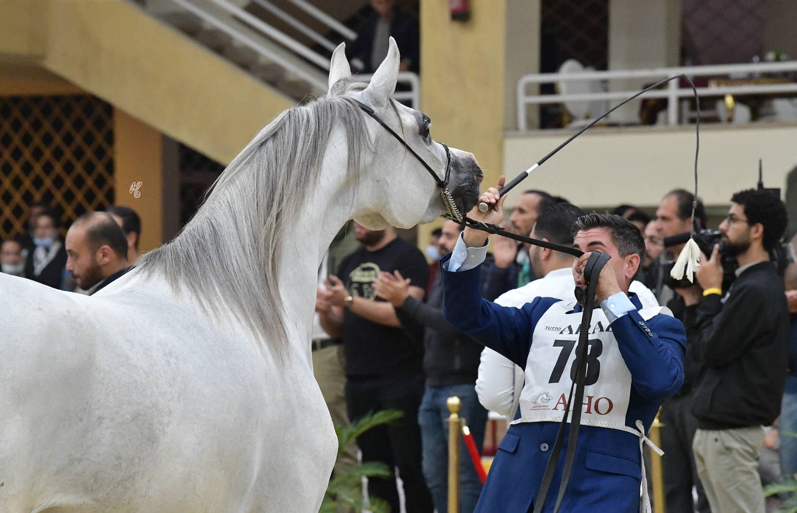 Fillies 3 Years Old: Leen Al Mamlaka 