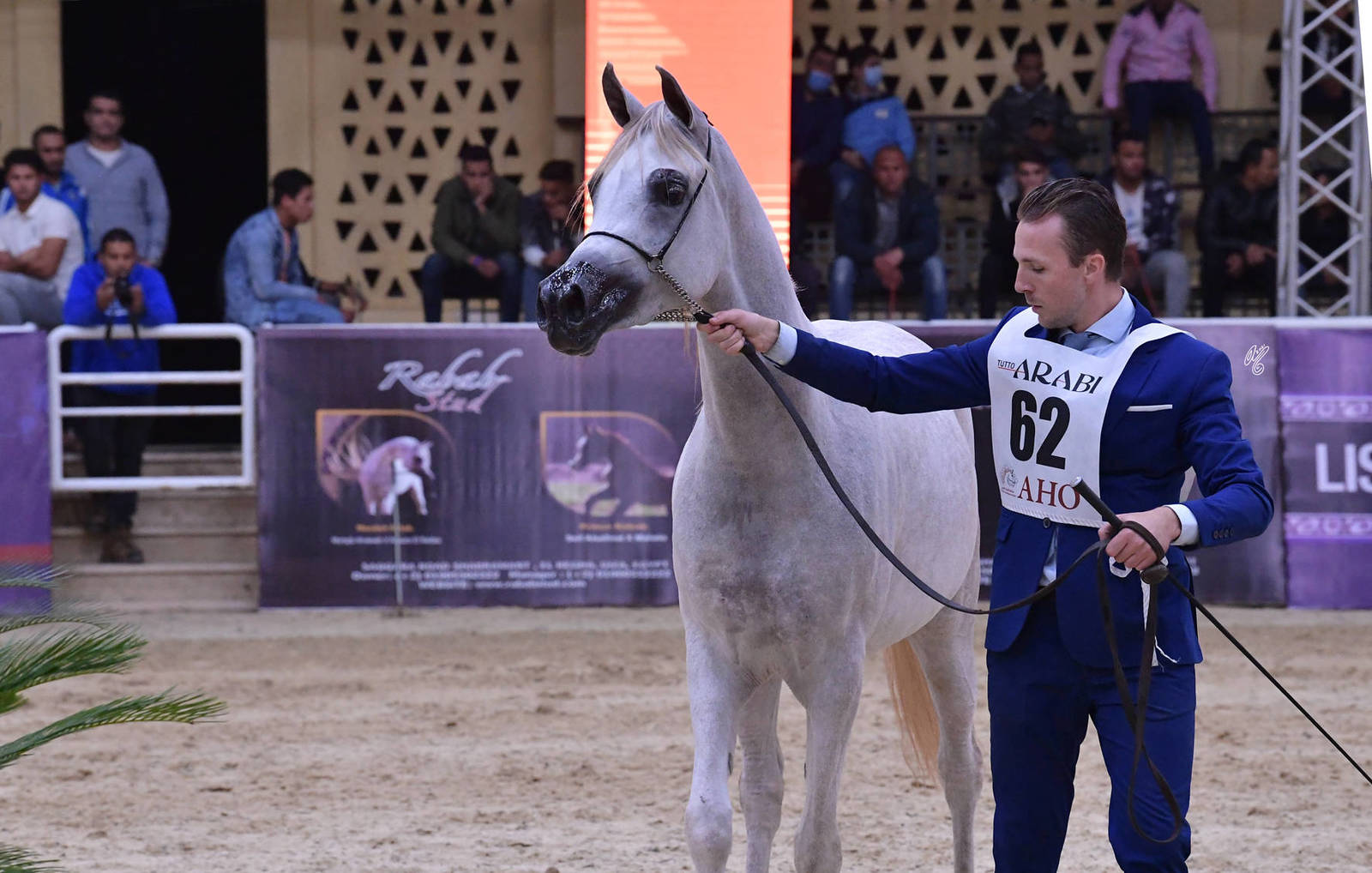 Fillies 2 Years Old: Nagham Al Zahwa 