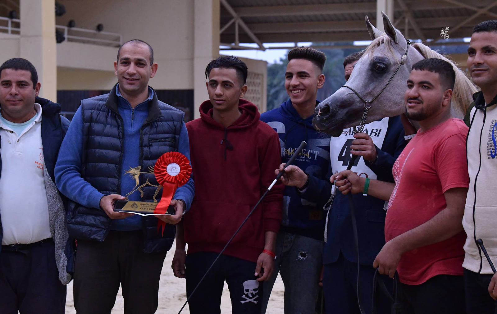 Yearling Filly: Aslama Al Safenat 