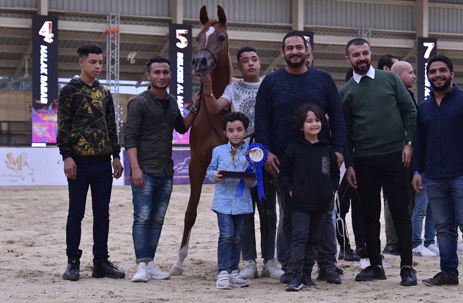 Yearling Filly: Ayla El Gabry