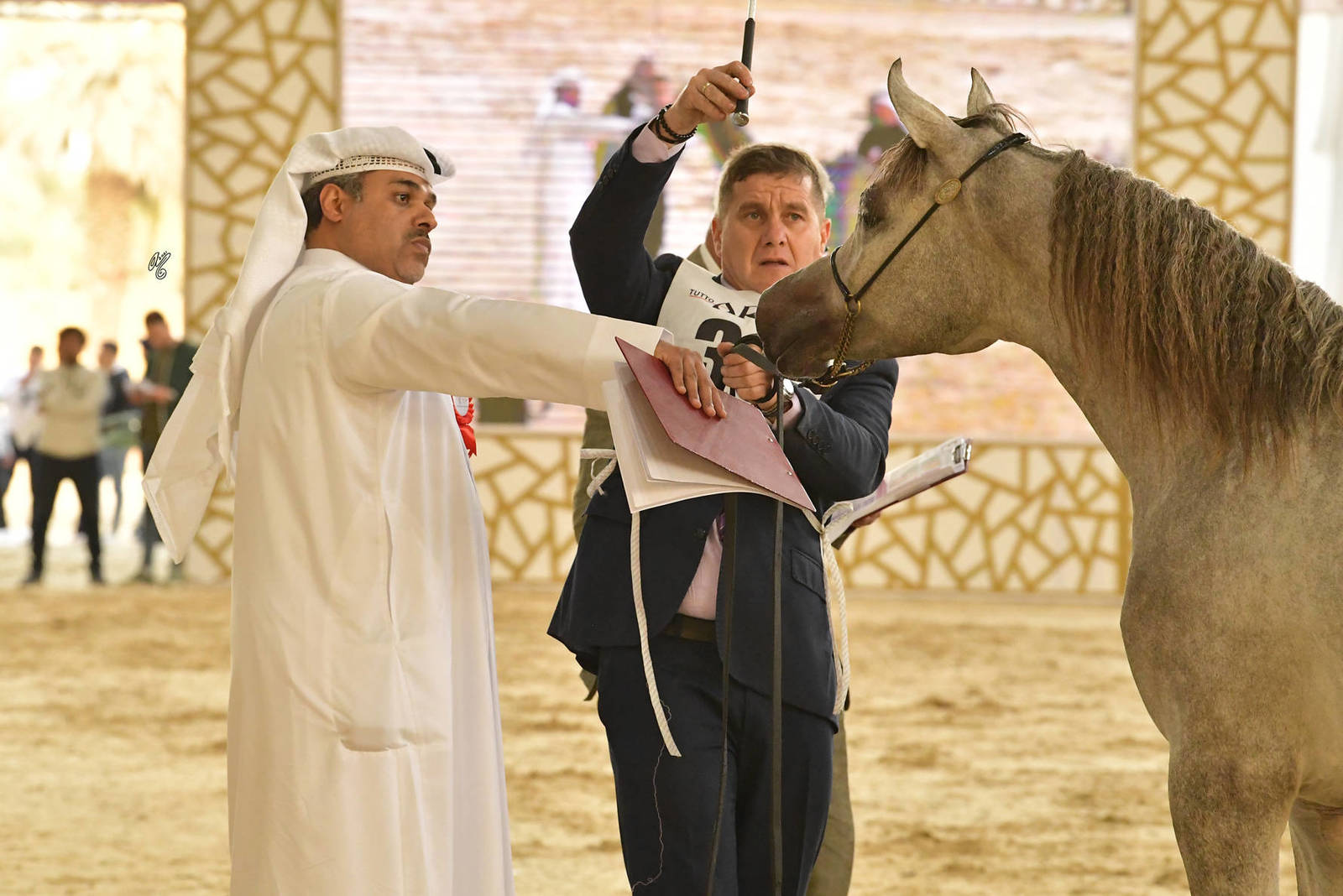 Yearling Filly: Malak Rabab 