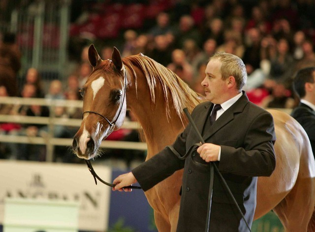 ¸Kwestura 1  89.jpg