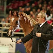 ¸Kwestura 1  89.jpg