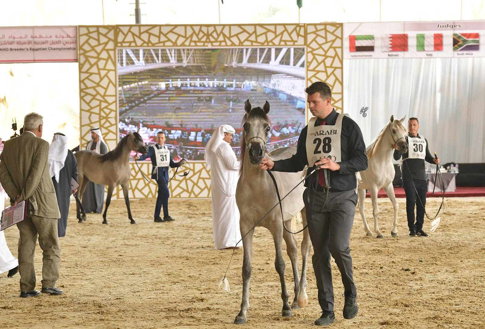 Yearling Filly: Naaema Al Azab 