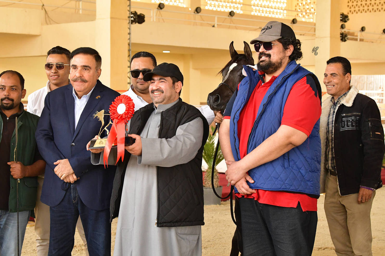 Filly Foal: Fai Al Saqabi