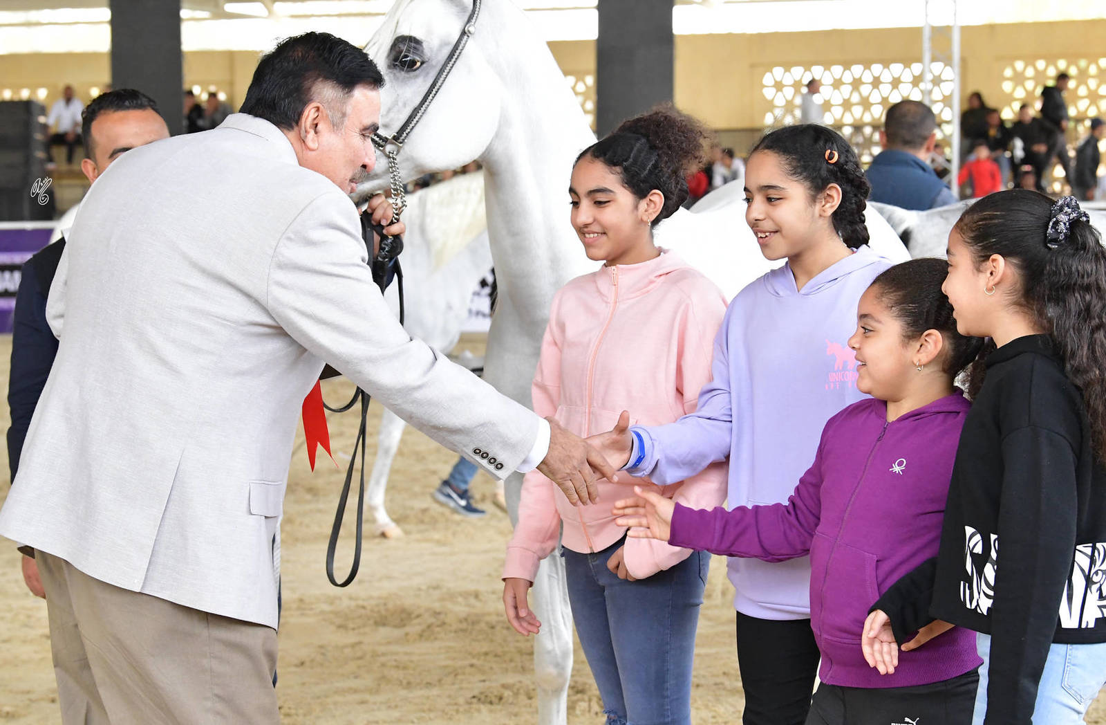 LISA ABRAHAM: The 2021 AHO Breeders' Championship in Egypt ~ PHOTO COVERAGE