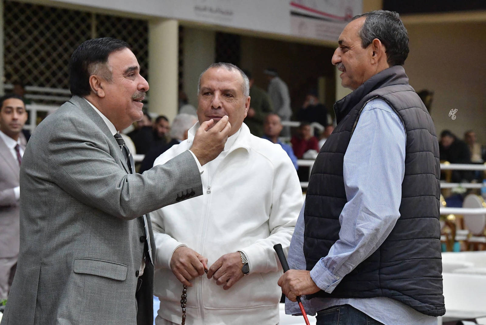 LISA ABRAHAM: The 2021 AHO Breeders' Championship in Egypt ~ PHOTO COVERAGE