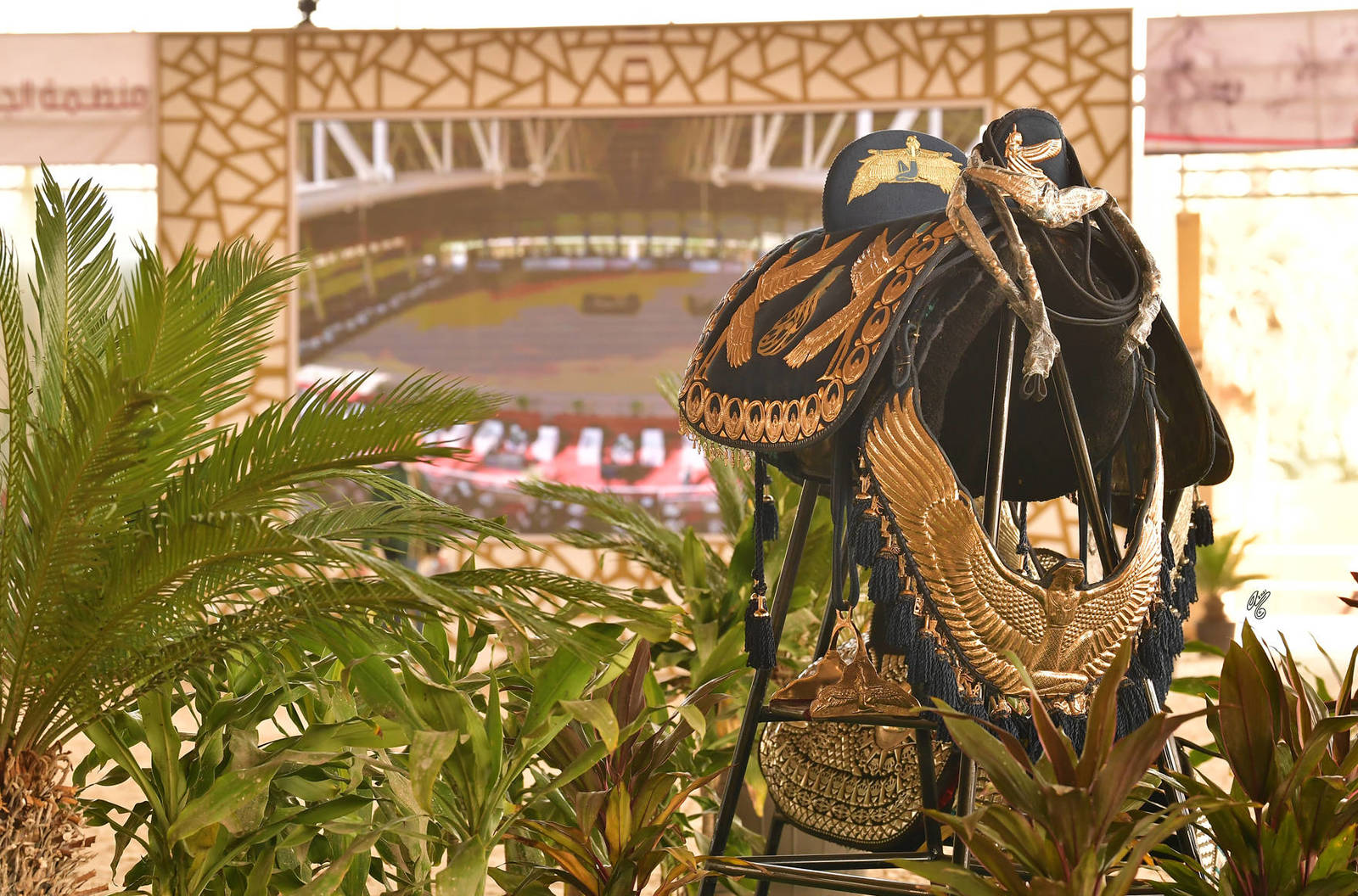 LISA ABRAHAM: The 2021 AHO Breeders' Championship in Egypt ~ PHOTO COVERAGE