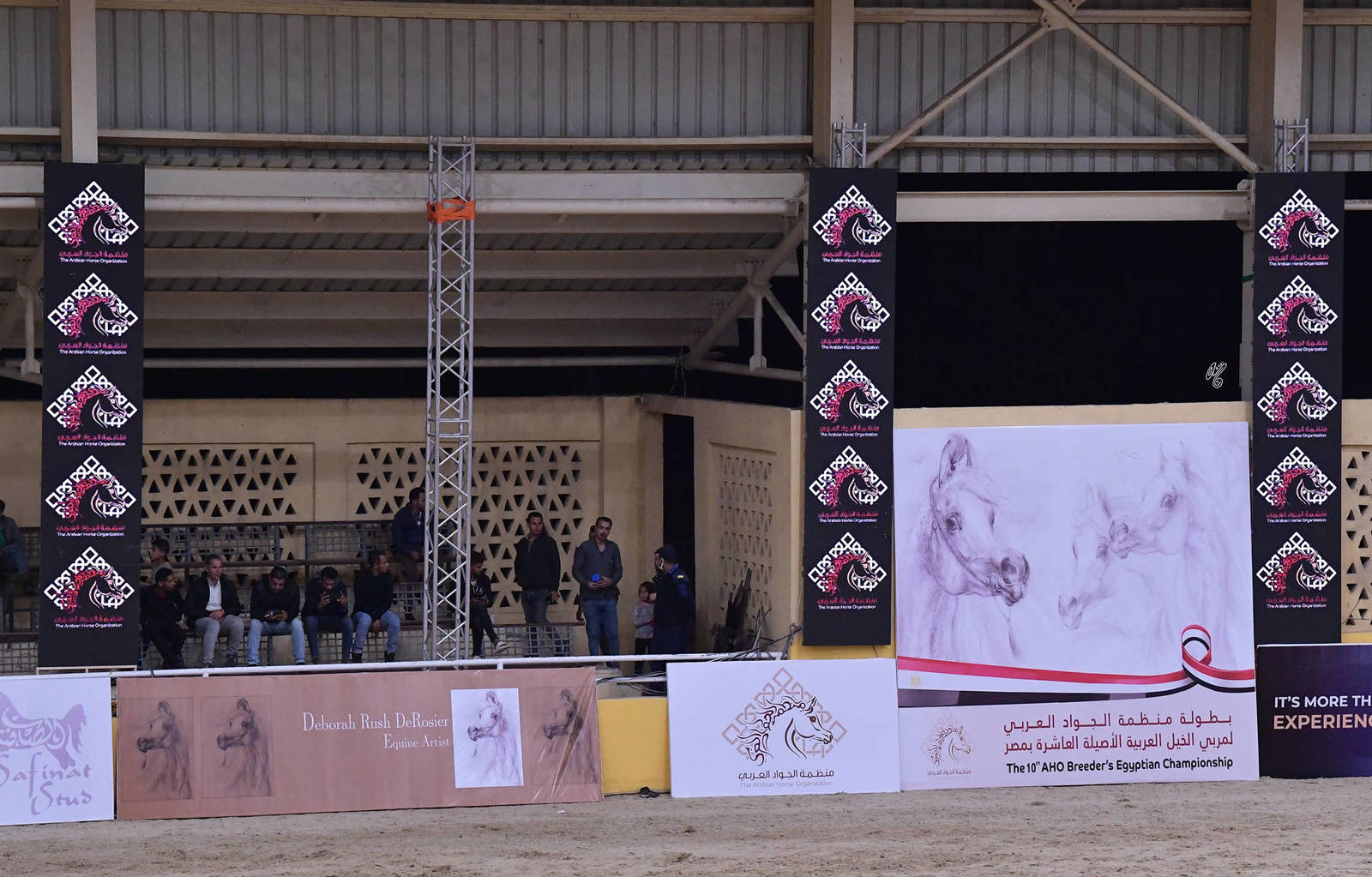 LISA ABRAHAM: The 2021 AHO Breeders' Championship in Egypt ~ PHOTO COVERAGE