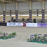 LISA ABRAHAM: The 2021 AHO Breeders' Championship in Egypt ~ PHOTO COVERAGE
