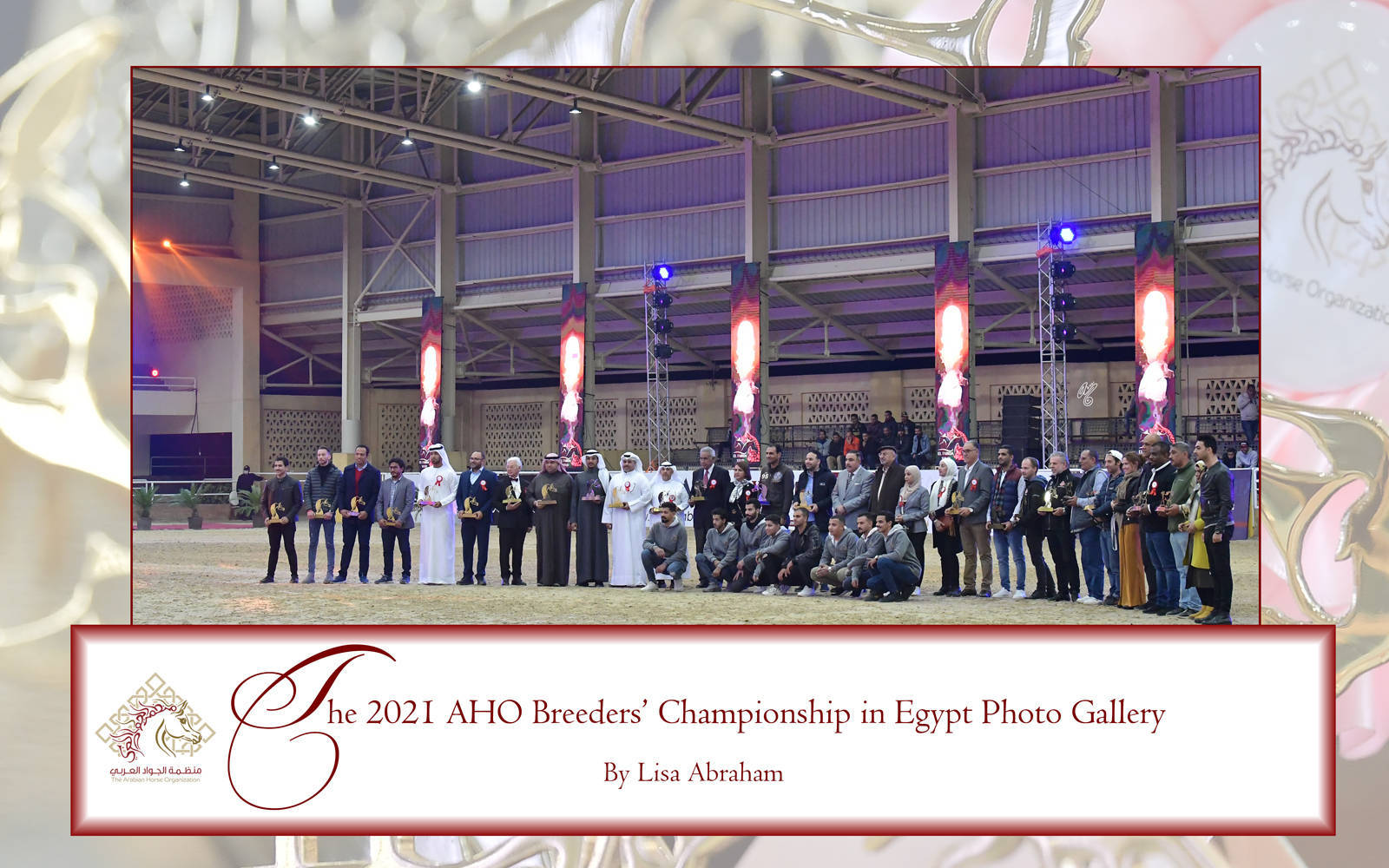 LISA ABRAHAM: The 2021 AHO Breeders' Championship in Egypt ~ PHOTO COVERAGE