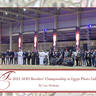 LISA ABRAHAM: The 2021 AHO Breeders' Championship in Egypt ~ PHOTO COVERAGE