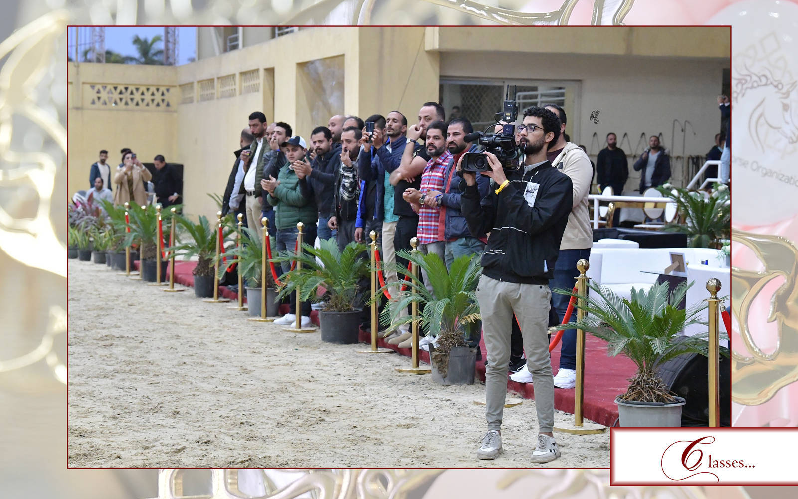 LISA ABRAHAM: The 2021 AHO Breeders' Championship in Egypt ~ PHOTO COVERAGE