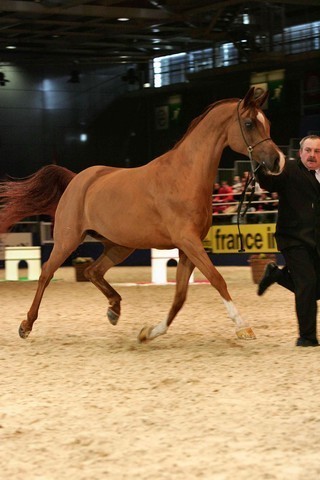 ¸Kwestura  1  17.jpg