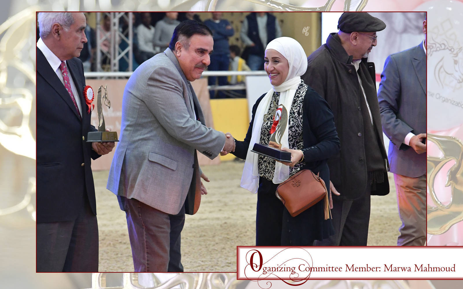 LISA ABRAHAM: The 2021 AHO Breeders' Championship in Egypt ~ PHOTO COVERAGE
