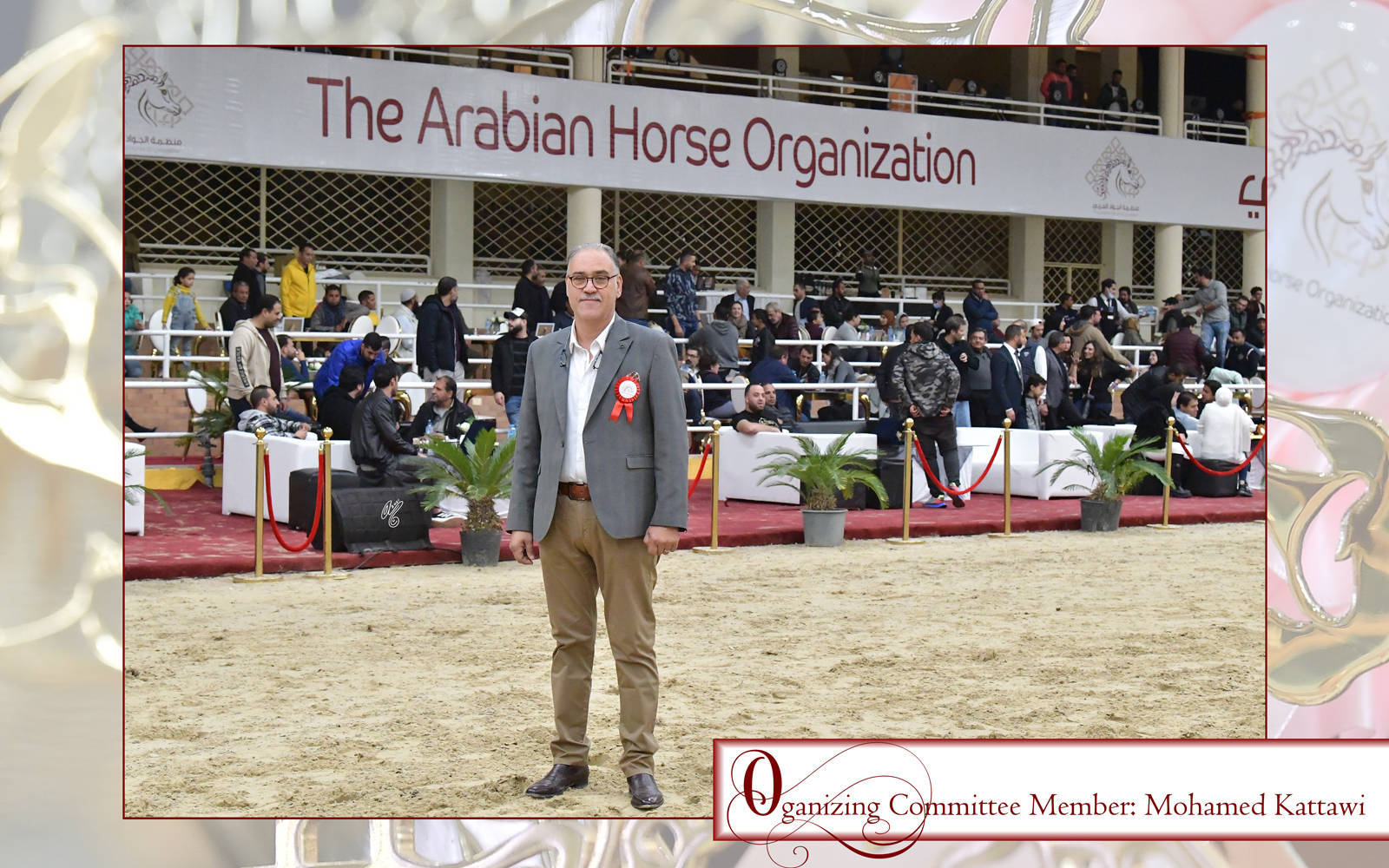 LISA ABRAHAM: The 2021 AHO Breeders' Championship in Egypt ~ PHOTO COVERAGE