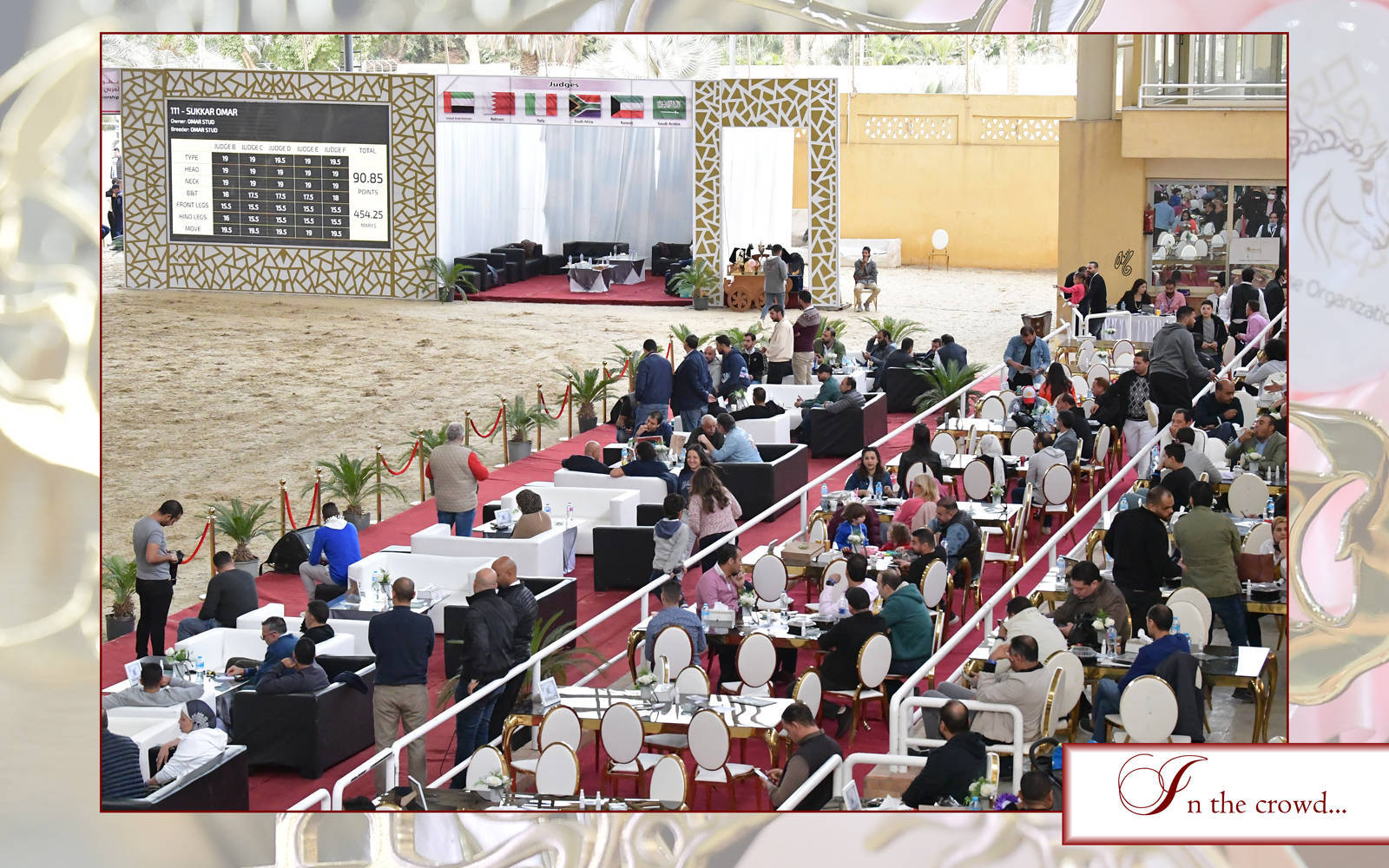 LISA ABRAHAM: The 2021 AHO Breeders' Championship in Egypt ~ PHOTO COVERAGE