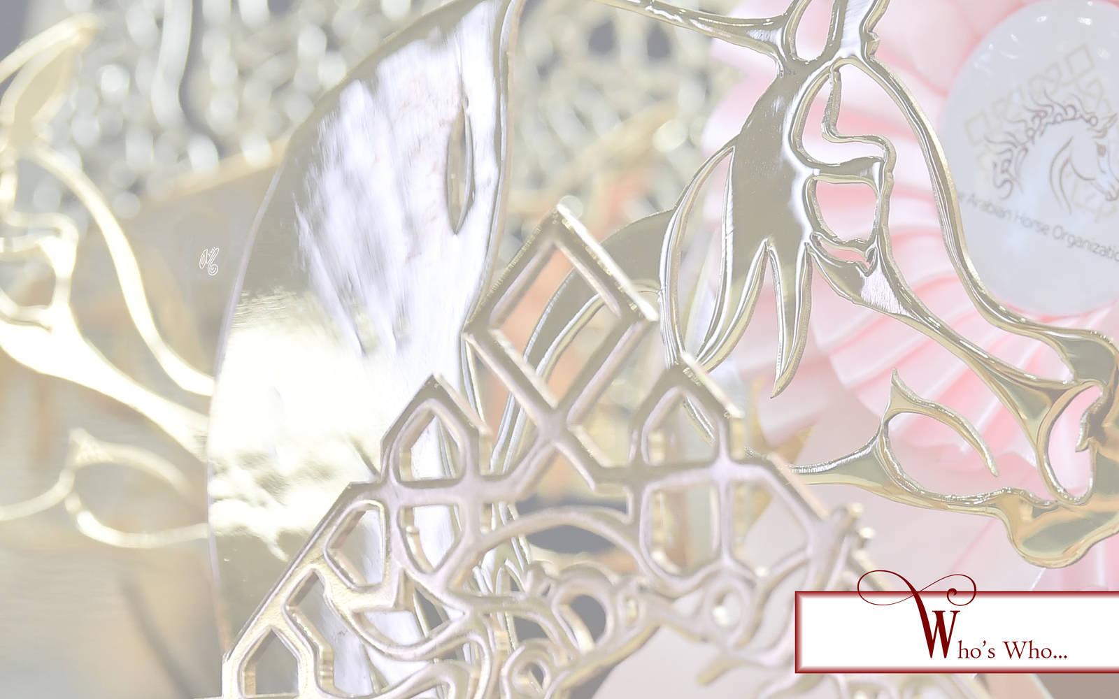 LISA ABRAHAM: The 2021 AHO Breeders' Championship in Egypt ~ PHOTO COVERAGE