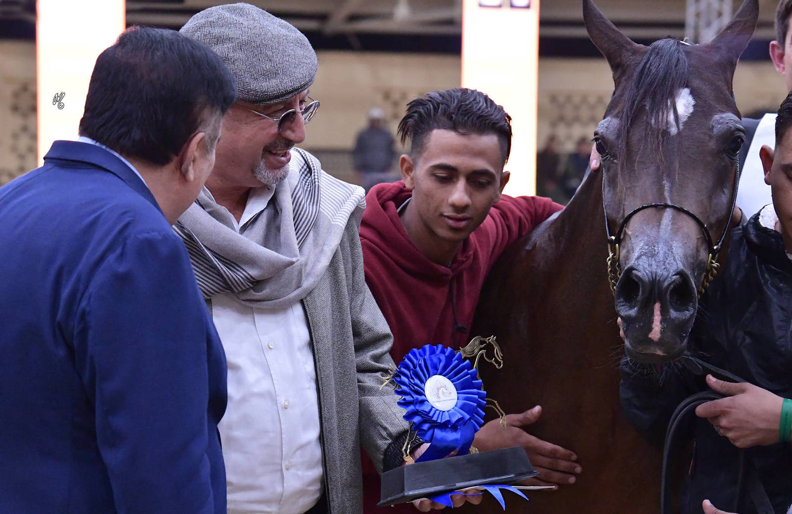 LISA ABRAHAM: The 2021 AHO Breeders' Championship in Egypt ~ PHOTO COVERAGE