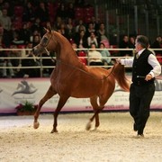 ¸Venetzia 1  40.jpg