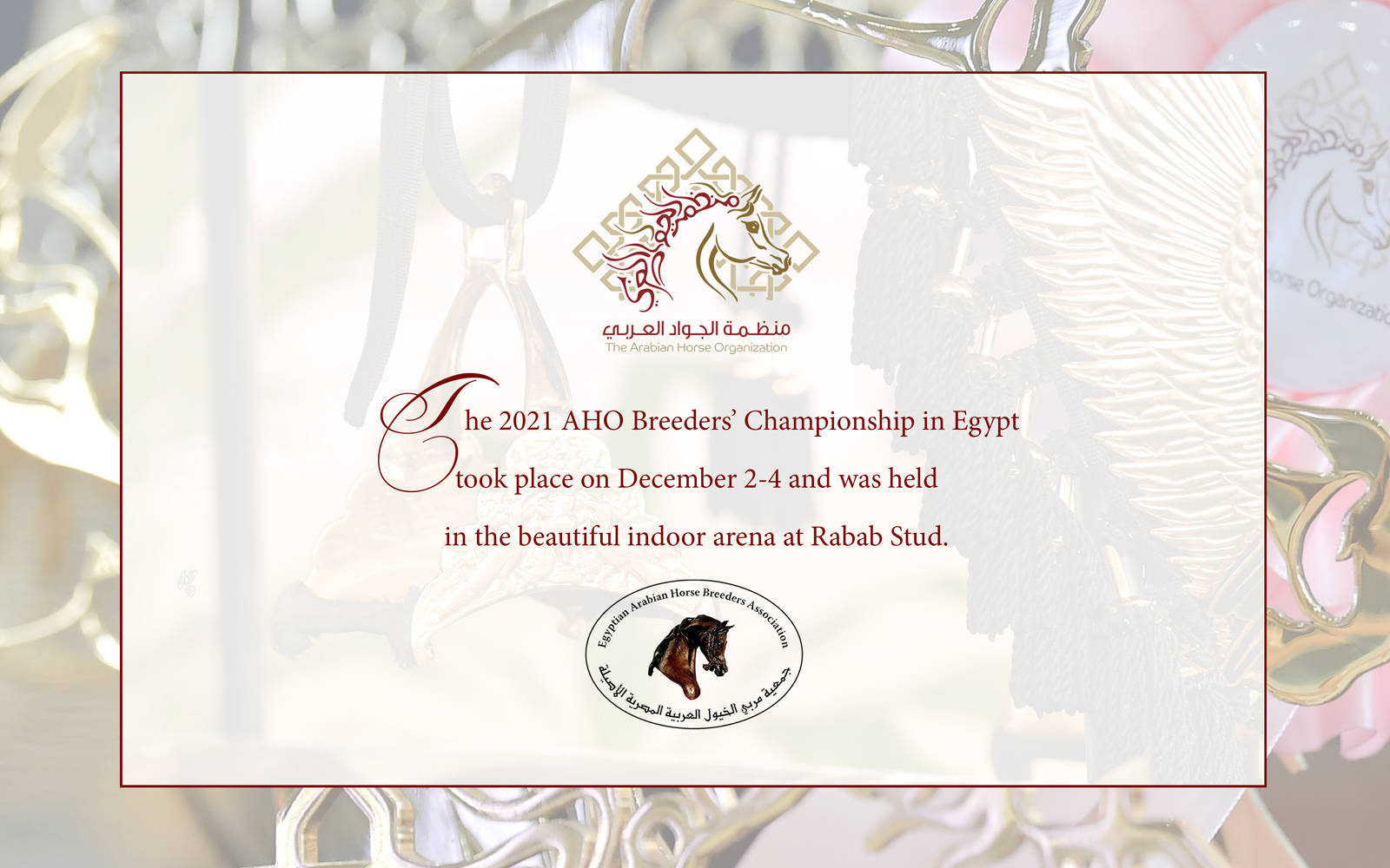 LISA ABRAHAM: The 2021 AHO Breeders' Championship in Egypt ~ PHOTO COVERAGE
