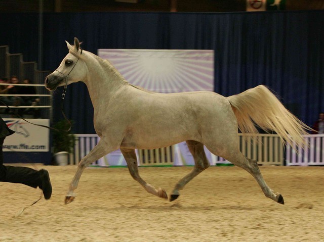 ¸Col Cora 1  56.jpg