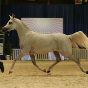 ¸Col Cora 1  56.jpg