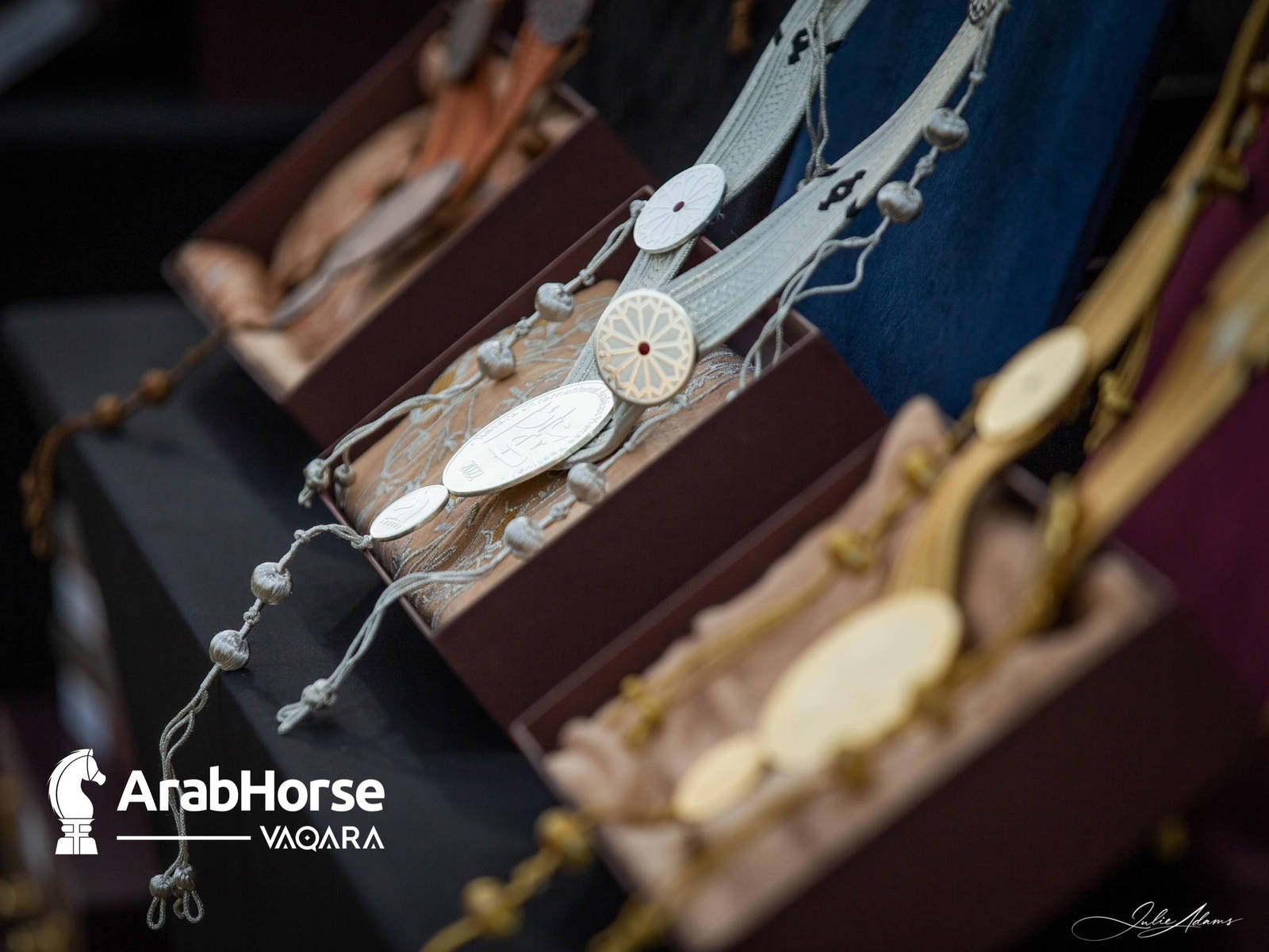 Photos from the 2022 Katara International Arabian Horse Festival