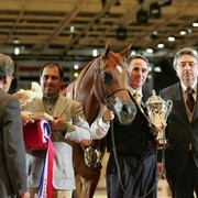 ¸Venetzia 1  57.jpg