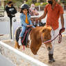 Photos from the 2022 Katara International Arabian Horse Festival