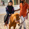 Photos from the 2022 Katara International Arabian Horse Festival